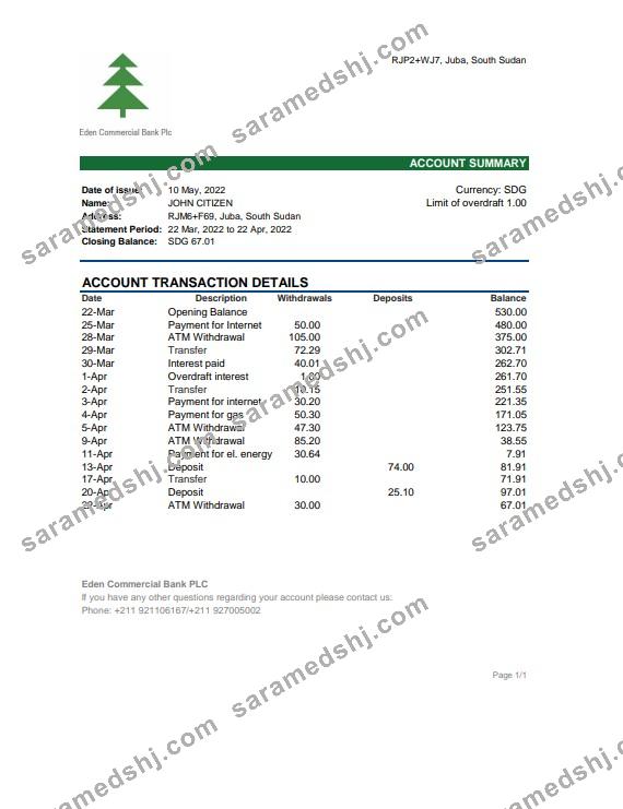 South Sudan Eden Commercial Bank statement, Excel and PDF template